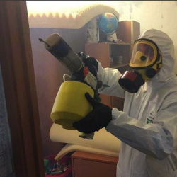 Уничтожение клопов в квартире. Марьино